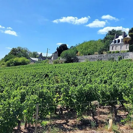 Le Jacobin - Saint Gatien- Bibliotheque Tours