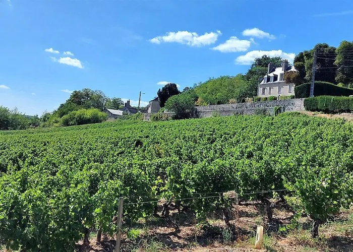 Le Jacobin - Saint Gatien- Bibliotheque 图尔