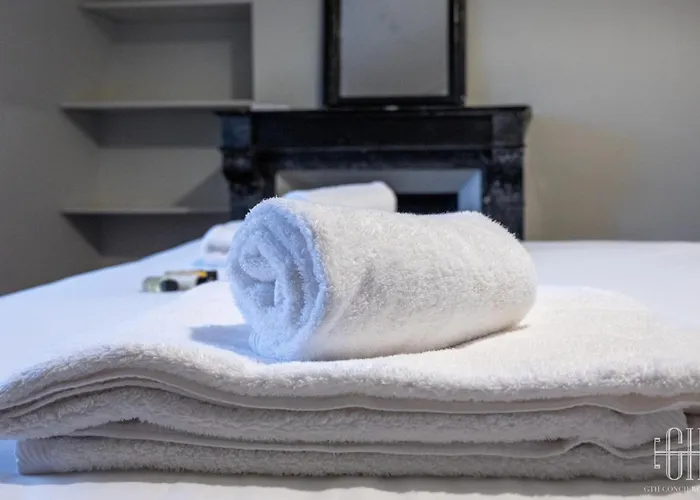 Le Jacobin - Saint Gatien- Bibliotheque * 图尔