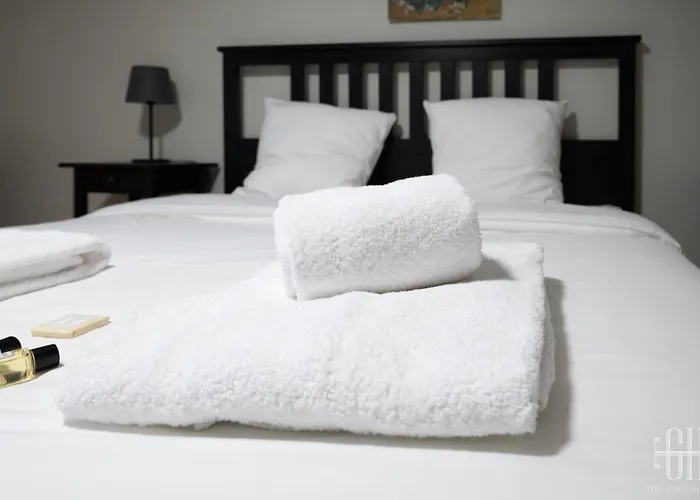 Le Jacobin - Saint Gatien- Bibliotheque Apartamento Tours