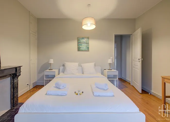 Le Jacobin - Saint Gatien- Bibliotheque Apartamento Tours