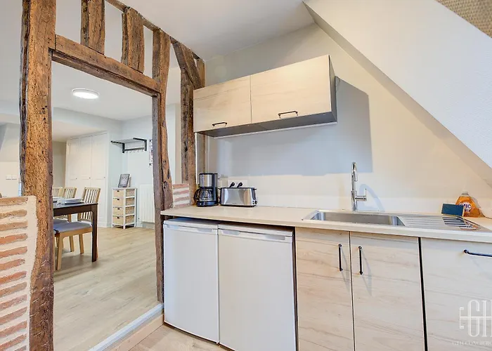 公寓 Le Jacobin - Saint Gatien- Bibliotheque 图尔